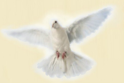 Jesus Christ was baptised in The Holy Spirit, who descended like a dove