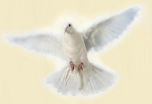 The Holy Spirit, like a dove coming from the clouds
