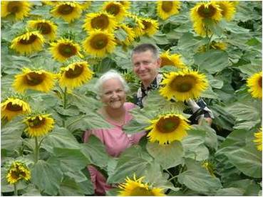 Tanner Romania Mission sunflower fields