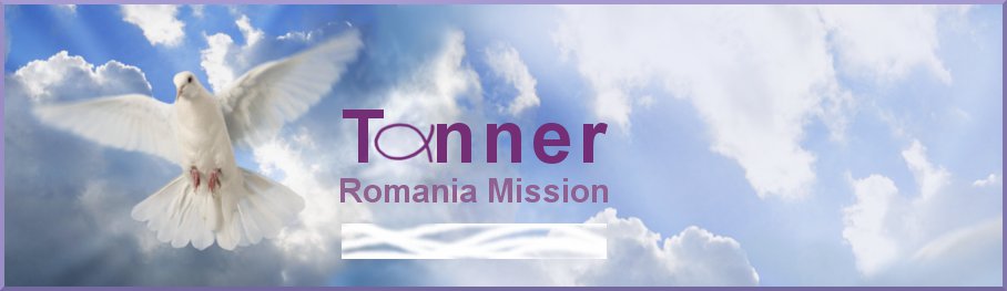 Clouds background, with Holy Spirit, and Christian Fish logo for Tanner Romania Mission